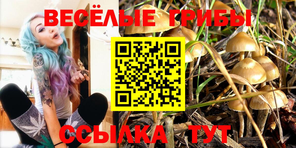 Ялуторовск  Галлюциногенные грибы Magic Shrooms  Вход с VPN 